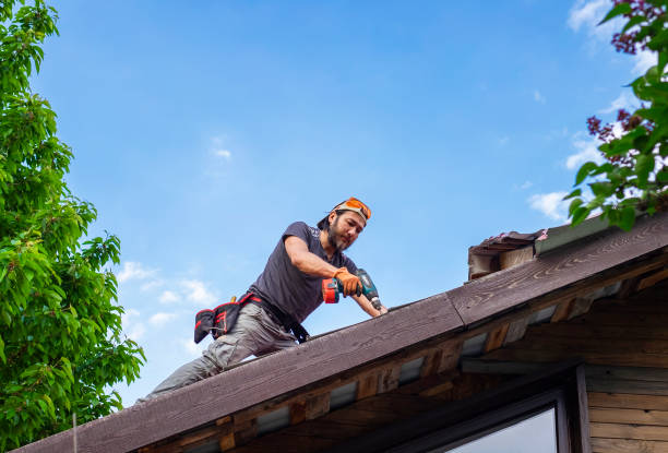  Du Quoin, IL Roofing service Pros